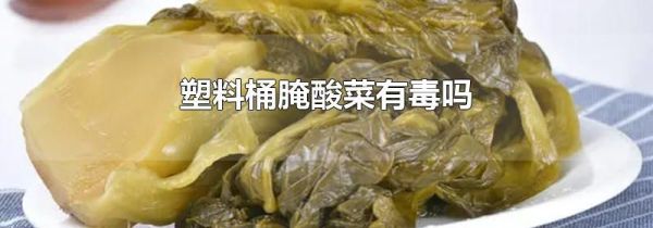 塑料桶腌酸菜有毒吗