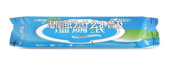 湿厕纸为什么不普及