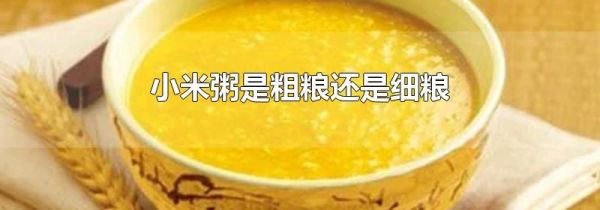 小米粥是粗粮还是细粮