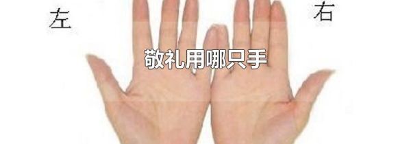 敬礼用哪只手