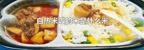 自热米饭的米是什么米