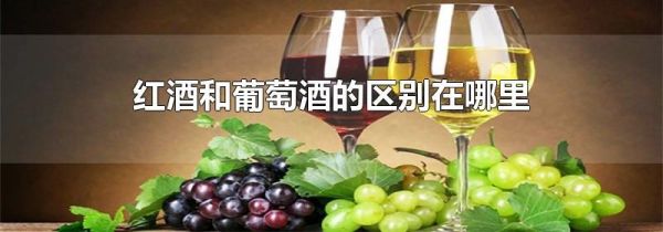 红酒和葡萄酒的区别在哪里