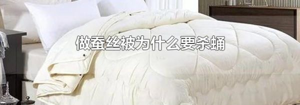 做蚕丝被为什么要杀蛹