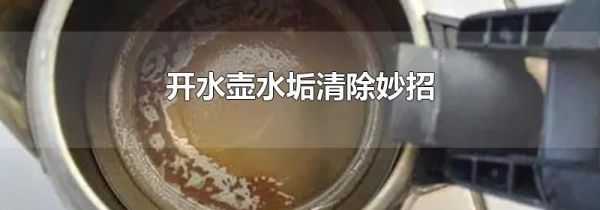 开水壶水垢清除妙招