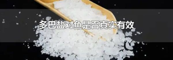 多巴盐对鱼是否真实有效