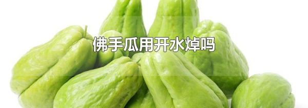 佛手瓜用开水焯吗