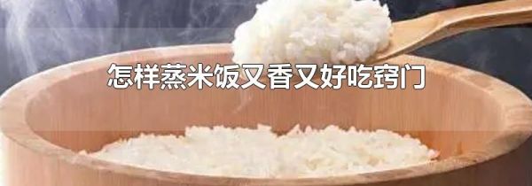 怎样蒸米饭又香又好吃窍门
