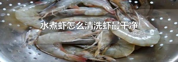 水煮虾怎么清洗虾最干净