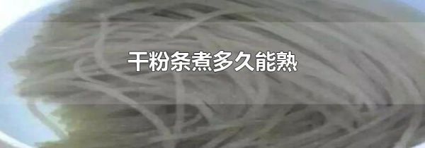 干粉条煮多久能熟