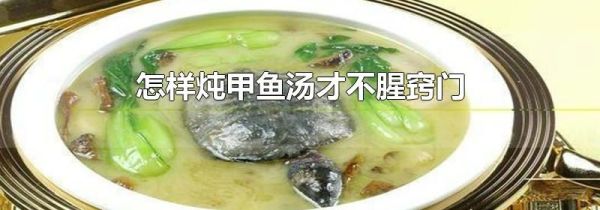 怎样炖甲鱼汤才不腥窍门
