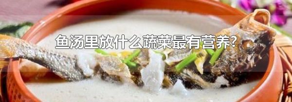 鱼汤里放什么蔬菜最有营养?