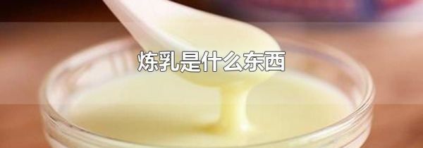 炼乳是什么东西