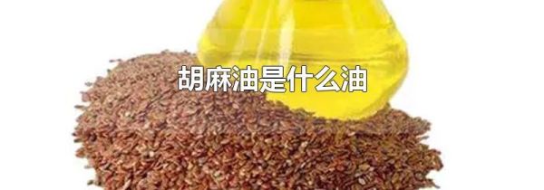 胡麻油是什么油