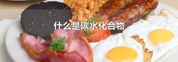 什么是碳水化合物