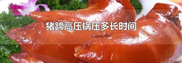 猪蹄高压锅压多长时间