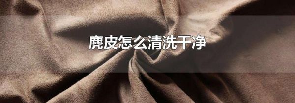麂皮怎么清洗干净