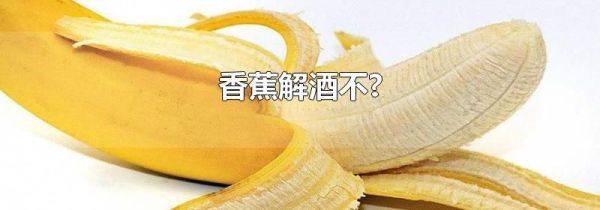 香蕉解酒不?