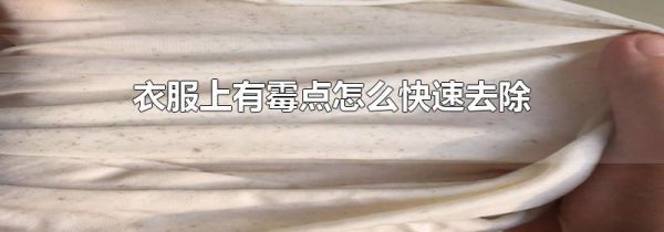 衣服上有霉点怎么快速去除