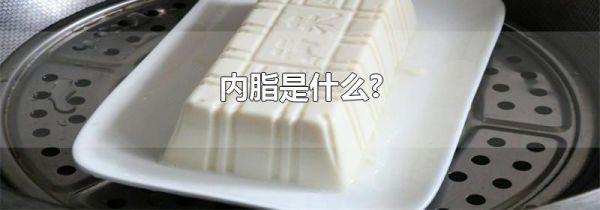 内脂是什么?