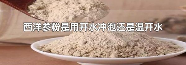 西洋参粉是用开水冲泡还是温开水