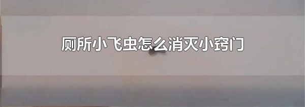 厕所小飞虫怎么消灭小窍门