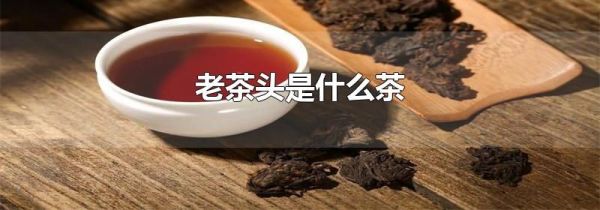 老茶头是什么茶