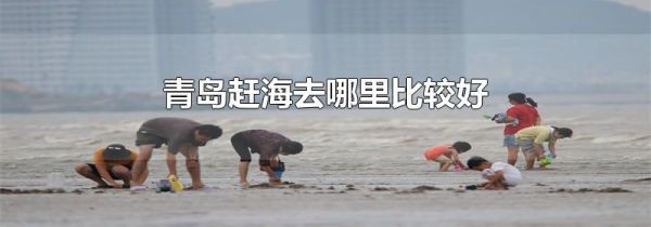 青岛赶海去哪里比较好
