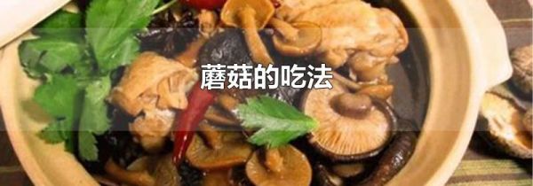 蘑菇的吃法