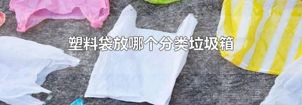 塑料袋放哪个分类垃圾箱