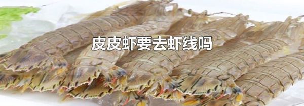 皮皮虾要去虾线吗