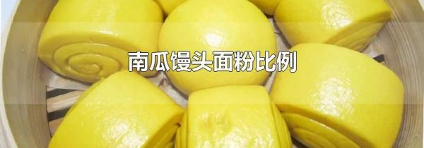 南瓜馒头面粉比例