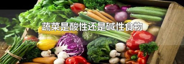 蔬菜是酸性还是碱性食物