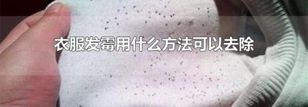 衣服发霉用什么方法可以去除