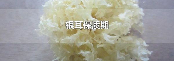 银耳保质期