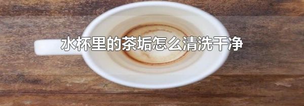 水杯里的茶垢怎么清洗干净