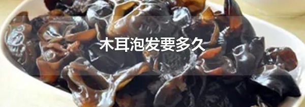 木耳泡发要多久