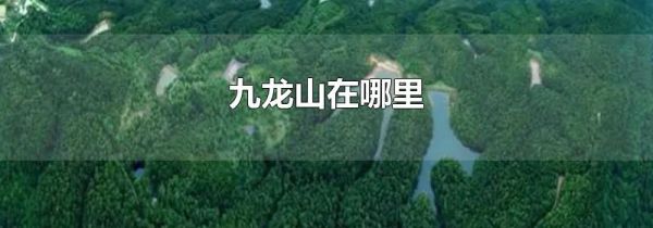 九龙山在哪里