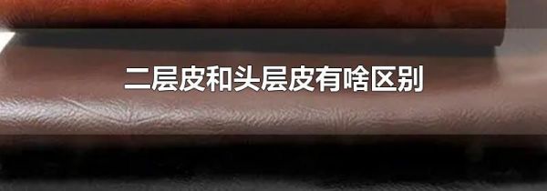 二层皮和头层皮有啥区别