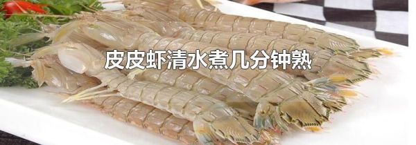 皮皮虾清水煮几分钟熟