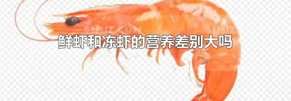 鲜虾和冻虾的营养差别大吗