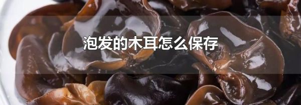 泡发的木耳怎么保存