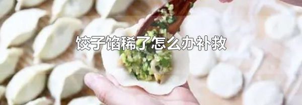 饺子馅稀了怎么办补救