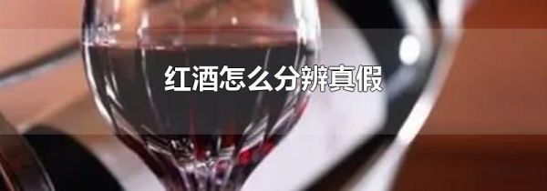 红酒怎么分辨真假