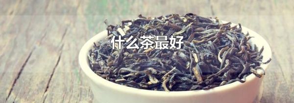 什么茶最好