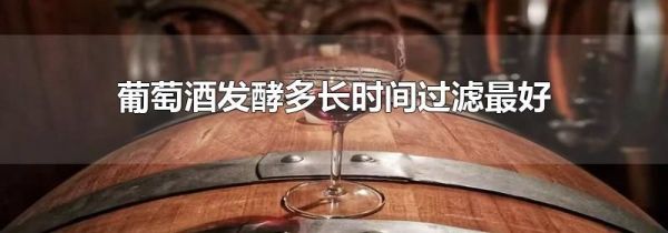 葡萄酒发酵多长时间过滤最好