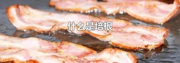 什么是培根