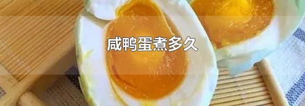 咸鸭蛋煮多久