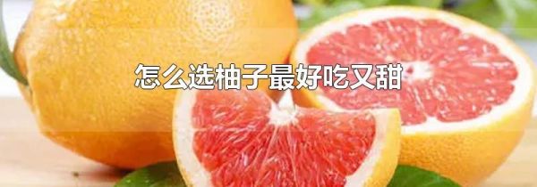怎么选柚子最好吃又甜