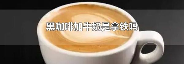黑咖啡加牛奶是拿铁吗