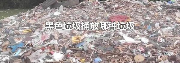 黑色垃圾桶放哪种垃圾